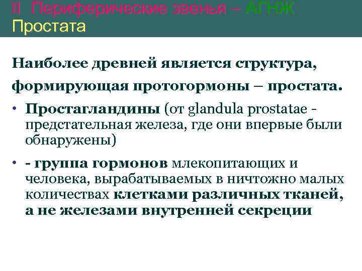 II Периферические звенья – АГНЖ Простата Наиболее древней является структура, формирующая протогормоны – простaта.