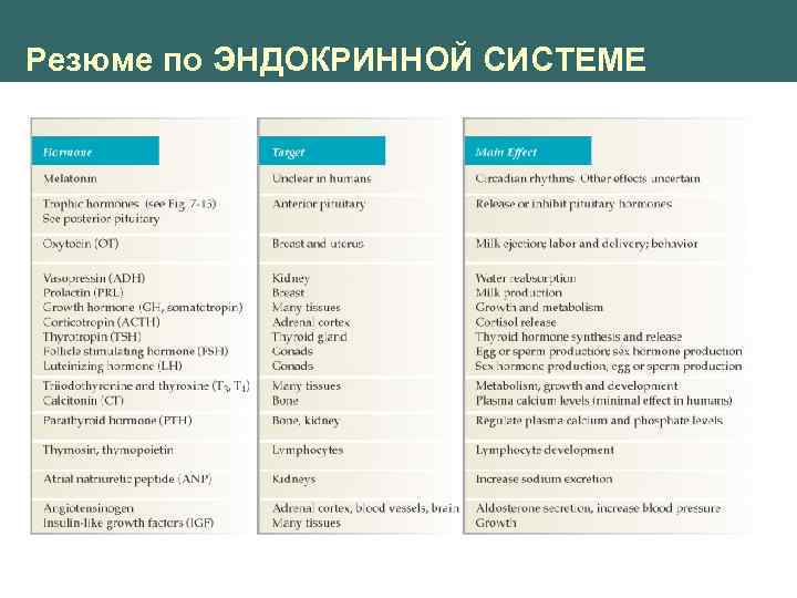 Резюме по ЭНДОКРИННОЙ СИСТЕМЕ 