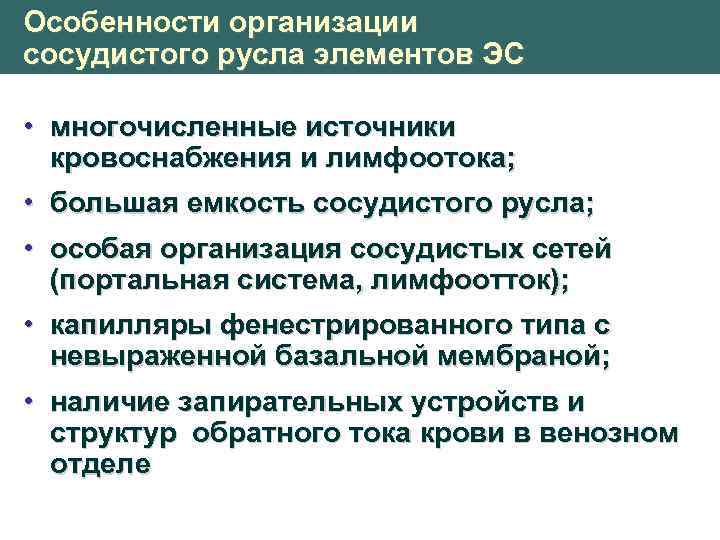 Особенности организации сосудистого русла элементов ЭС • многочисленные источники кровоснабжения и лимфоотока; • большая
