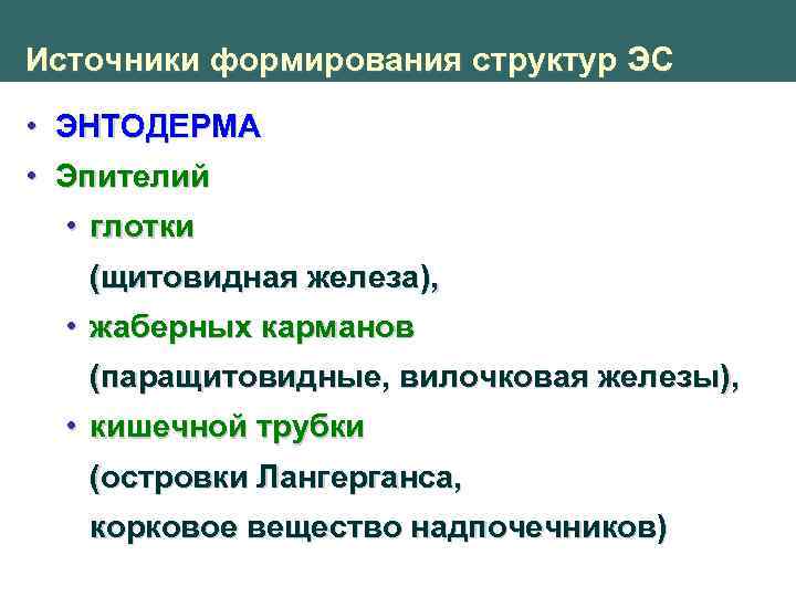 Источники формирования структур ЭС • ЭНТОДЕРМА • Эпителий • глотки (щитовидная железа), • жаберных