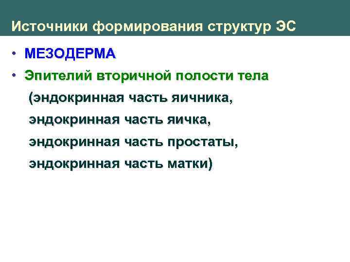 Источники формирования структур ЭС • МЕЗОДЕРМА • Эпителий вторичной полости тела (эндокринная часть яичника,