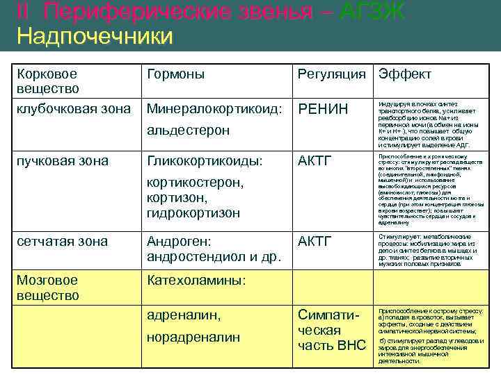 II Периферические звенья – АГЗЖ Надпочечники Корковое вещество клубочковая зона Гормоны Регуляция Эффект Минералокортикоид: