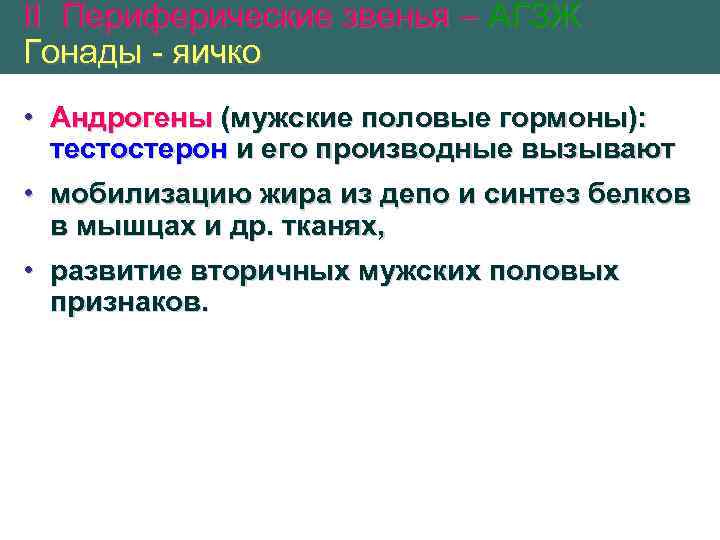 II Периферические звенья – АГЗЖ Гонады - яичко • Андрогены (мужские половые гормоны): тестостерон