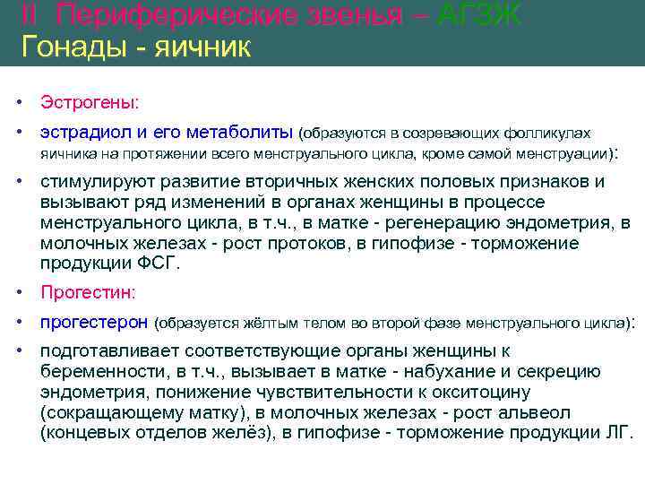 II Периферические звенья – АГЗЖ Гонады - яичник • Эстрогены: • эстрадиол и его
