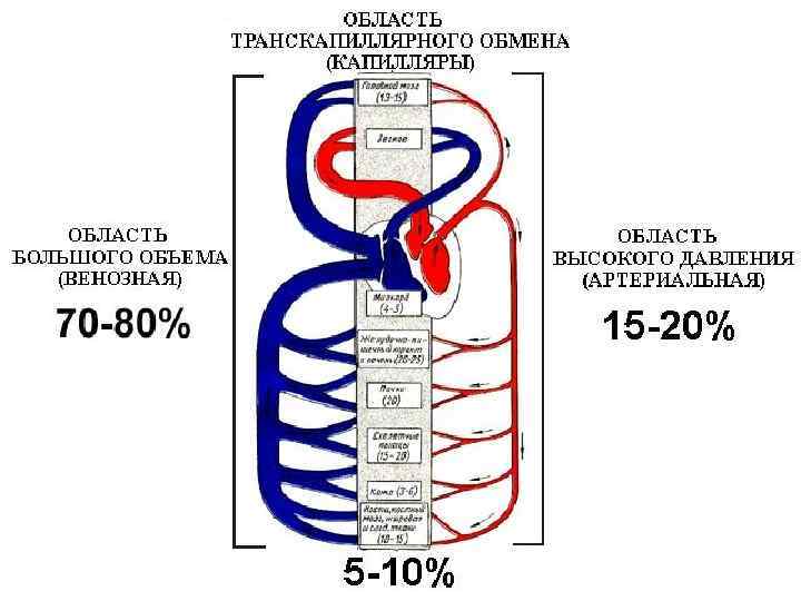 Истомино карта со спутника