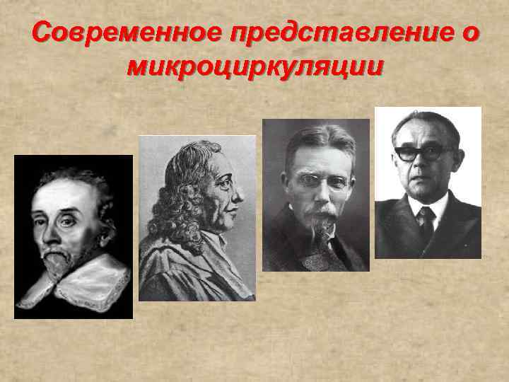 Современное представление о микроциркуляции 