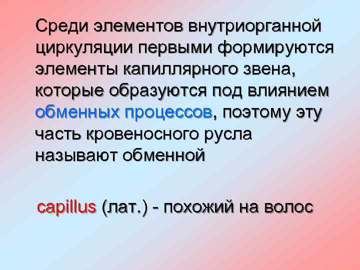 Среди элементов внутриорганной циркуляции первыми формируются элементы капиллярного звена, которые образуются под влиянием обменных