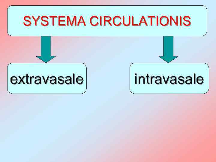 SYSTEMA CIRCULATIONIS extravasale intravasale 