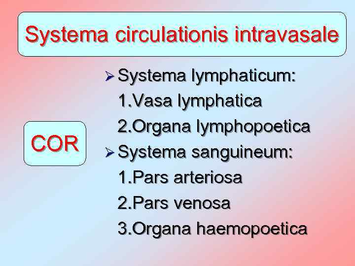 Systema circulationis intravasale Ø Systema lymphaticum: COR 1. Vasa lymphatica 2. Organa lymphopoetica Ø