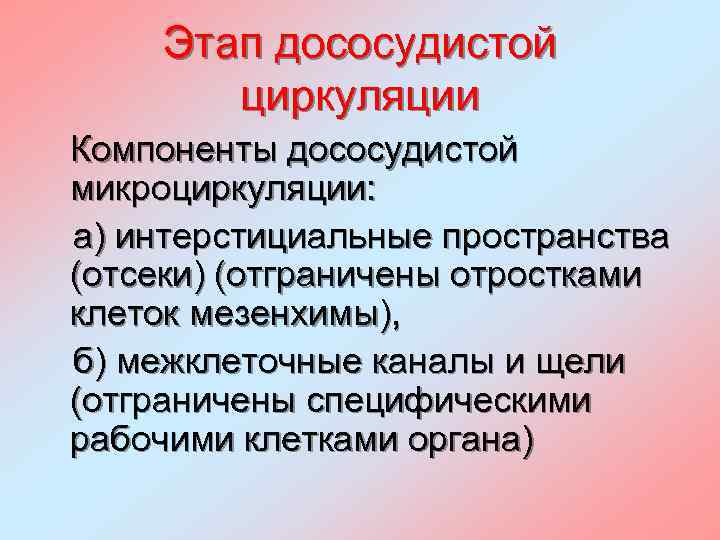 Этап дососудистой циркуляции Компоненты дососудистой микроциркуляции: а) интерстициальные пространства (отсеки) (отграничены отростками клеток мезенхимы),