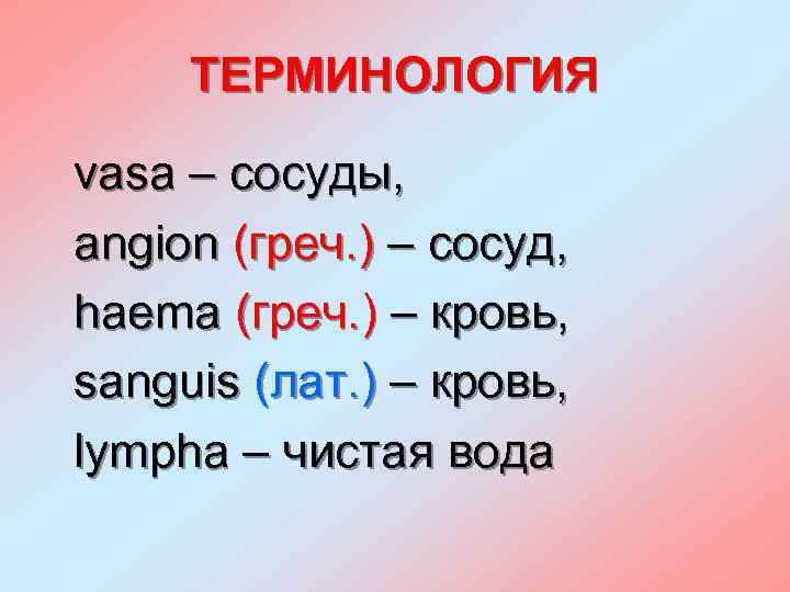 ТЕРМИНОЛОГИЯ vasa – сосуды, angion (греч. ) – сосуд, haema (греч. ) – кровь,