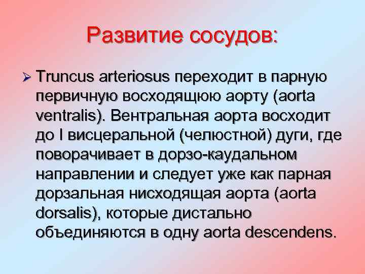 Развитие сосудов: Ø Truncus arteriosus переходит в парную первичную восходящюю аорту (aorta ventralis). Вентральная