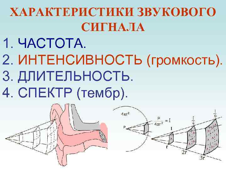 ХАРАКТЕРИСТИКИ ЗВУКОВОГО СИГНАЛА 1. ЧАСТОТА. 2. ИНТЕНСИВНОСТЬ (громкость). 3. ДЛИТЕЛЬНОСТЬ. 4. СПЕКТР (тембр). 