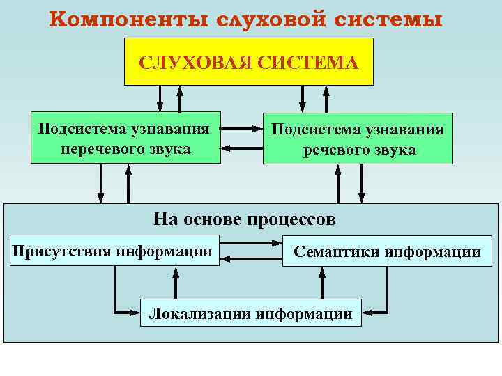 Компоненты слуховой системы СЛУХОВАЯ СИСТЕМА Подсистема узнавания неречевого звука Подсистема узнавания речевого звука На
