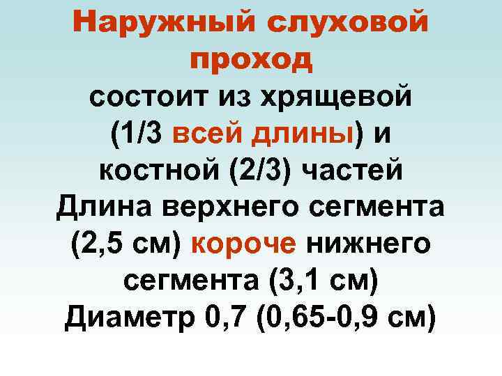 Наружный слуховой проход состоит из хрящевой (1/3 всей длины) и костной (2/3) частей Длина