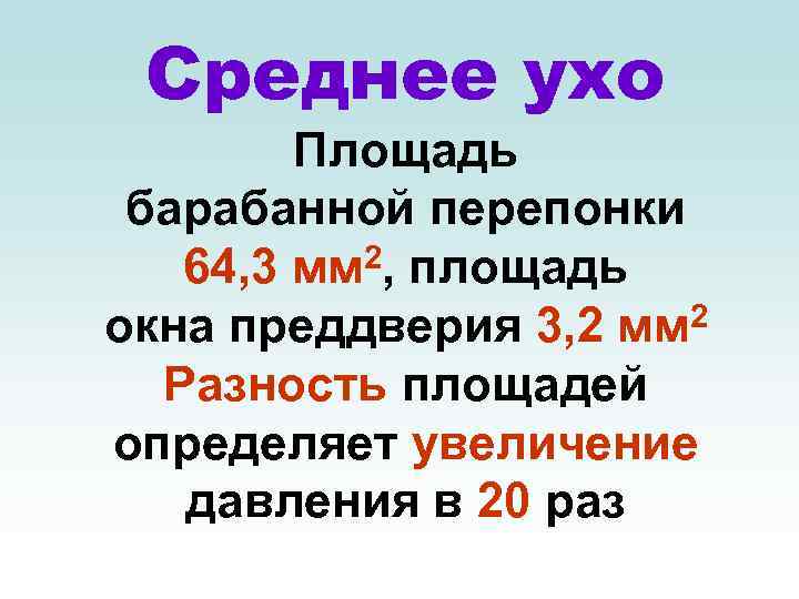 Среднее ухо Площадь барабанной перепонки 64, 3 мм 2, площадь окна преддверия 3, 2