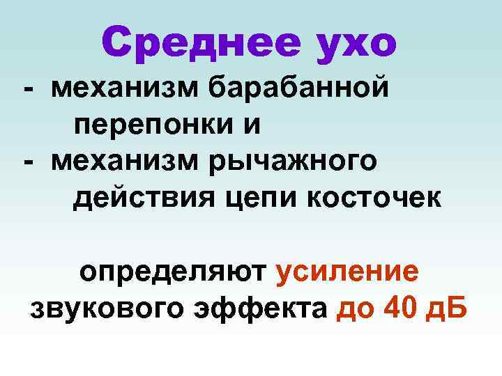 Среднее ухо - механизм барабанной перепонки и - механизм рычажного действия цепи косточек определяют