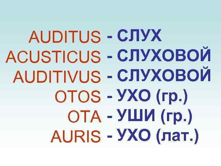 AUDITUS ACUSTICUS AUDITIVUS OTOS OTA AURIS - СЛУХОВОЙ - УХО (гр. ) - УШИ
