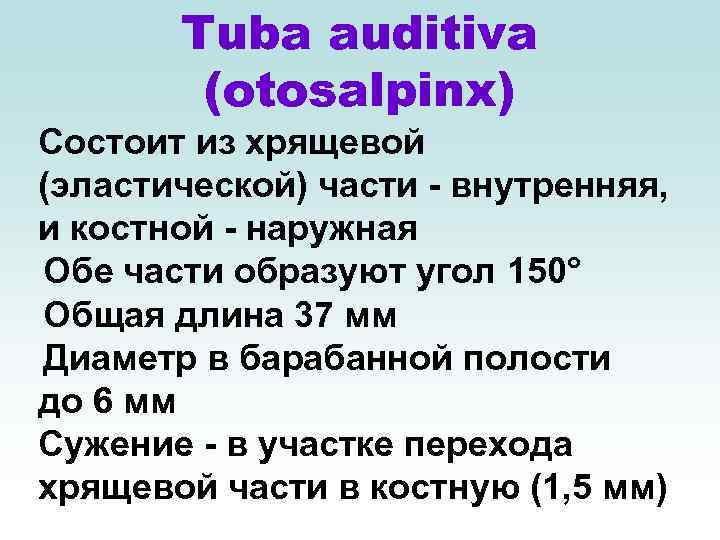 Tuba auditiva (otosalpinx) Состоит из хрящевой (эластической) части - внутренняя, и костной - наружная