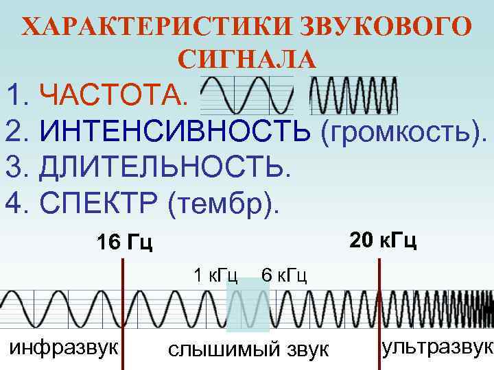 ХАРАКТЕРИСТИКИ ЗВУКОВОГО СИГНАЛА 1. ЧАСТОТА. 2. ИНТЕНСИВНОСТЬ (громкость). 3. ДЛИТЕЛЬНОСТЬ. 4. СПЕКТР (тембр). 20