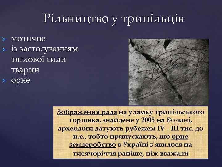 Рільництво у трипільців мотичне із застосуванням тяглової сили тварин орне Зображення рала на уламку