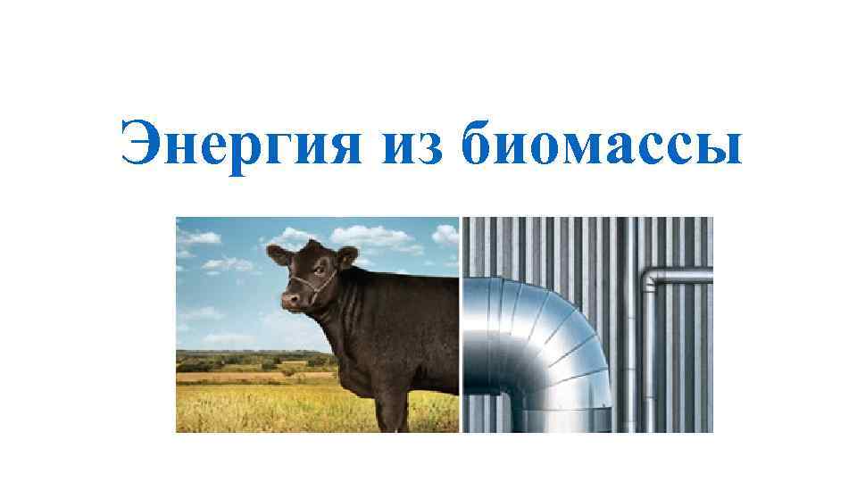 Энергия из биомассы 