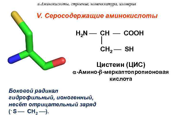 α-Аминокислоты, строение, номенклатура, изомерия V. Серосодержащие аминокислоты H 2 N CH COOH CH 2