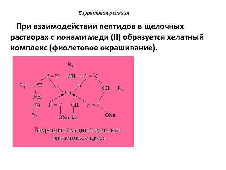 Биуретовая реакция При взаимодействии пептидов в щелочных растворах с ионами меди (II) образуется хелатный