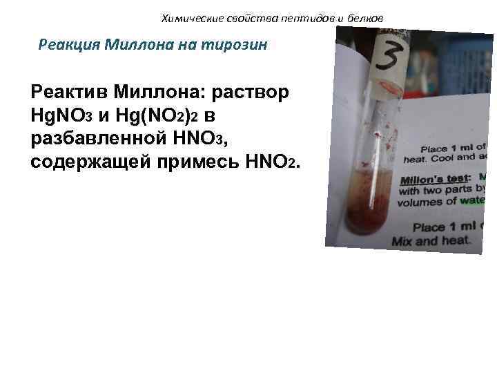 Химические свойства пептидов и белков Реакция Миллона на тирозин Реактив Миллона: раствор Hg. NO