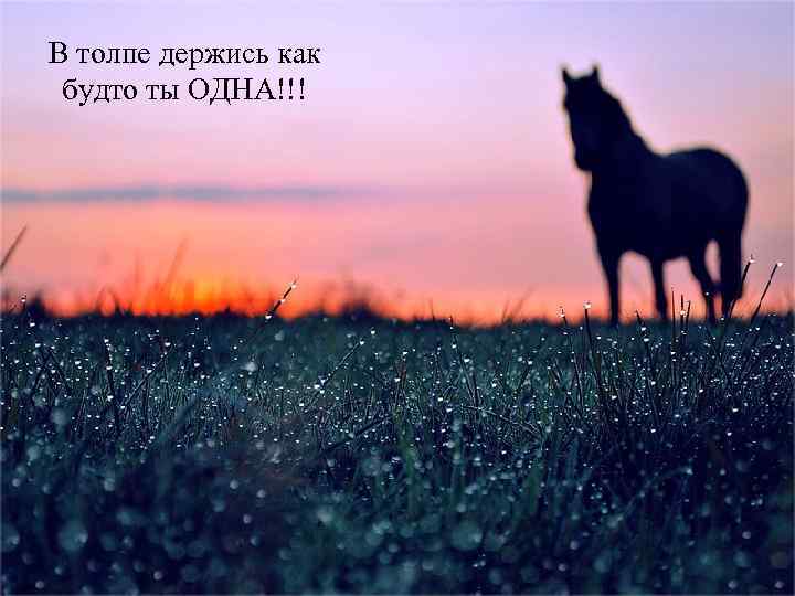 В толпе держись как будто ты ОДНА!!! 