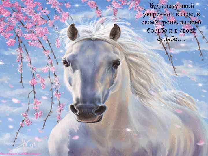 Будь девушкой уверенной в себе, в своей тропе, в своей борьбе и в своей