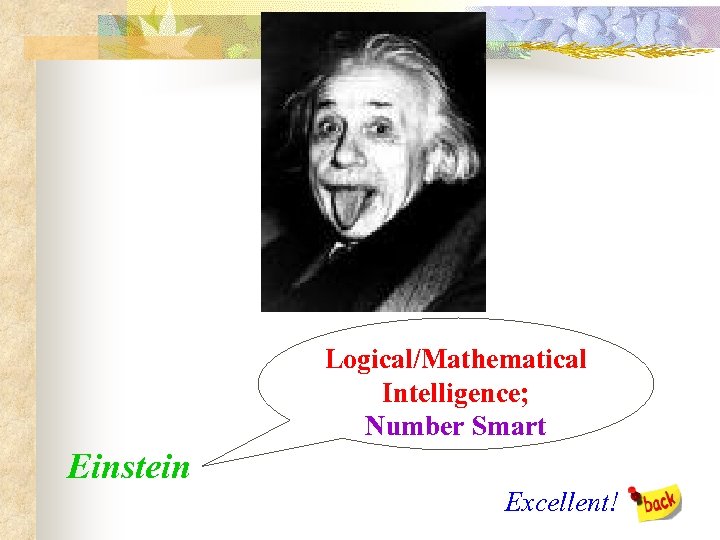 Logical/Mathematical Intelligence; Number Smart Einstein Excellent! 