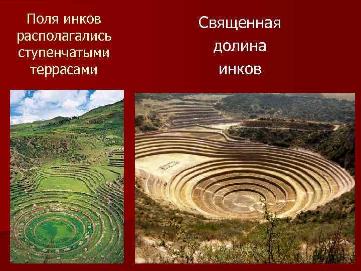 Поля инков располагались ступенчатыми террасами Священная долина инков 