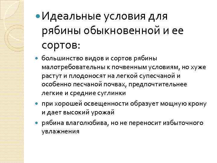  Идеальные условия для рябины обыкновенной и ее сортов: большинство видов и сортов рябины