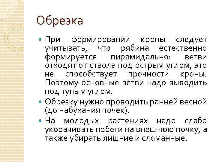 Обрезка При формировании кроны следует учитывать, что рябина естественно формируется пирамидально: ветви отходят от