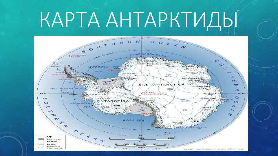 Станции антарктиды на карте 7 класс