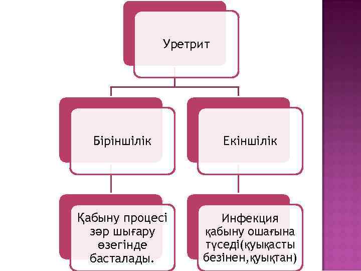 Уретрит Біріншілік Екіншілік Қабыну процесі зәр шығару өзегінде басталады. Инфекция қабыну ошағына түседі(қуықасты безінен,