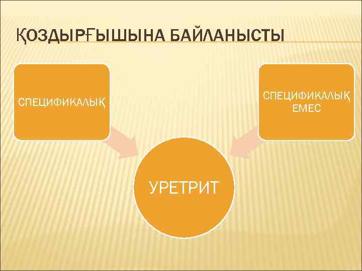 ҚОЗДЫРҒЫШЫНА БАЙЛАНЫСТЫ СПЕЦИФИКАЛЫҚ ЕМЕС СПЕЦИФИКАЛЫҚ УРЕТРИТ 