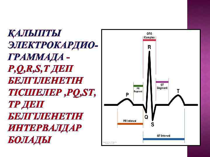 ҚАЛЫПТЫ ЭЛЕКТРОКАРДИОГРАММАДА P, Q, R, S, T ДЕП БЕЛГІЛЕНЕТІН ТІСШЕЛЕР , PQ, ST, TP