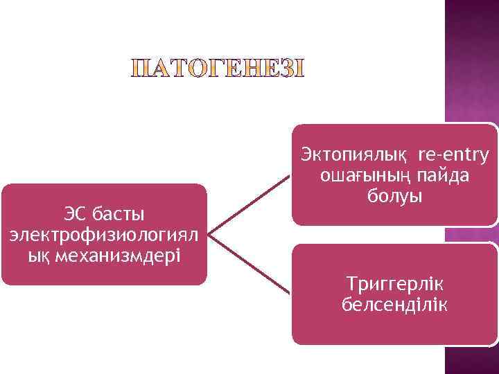 ЭС басты электрофизиологиял ық механизмдері Эктопиялық re-entry ошағының пайда болуы Триггерлік белсенділік 