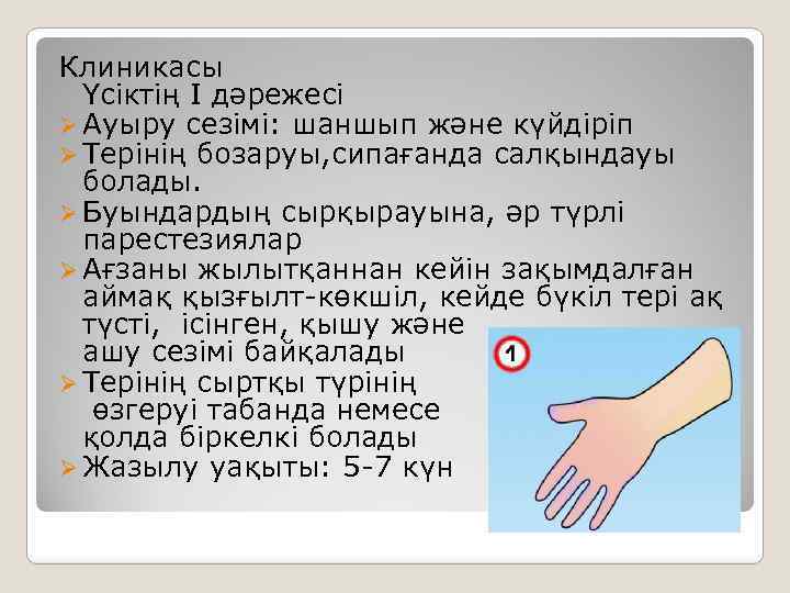 Клиникасы Үсіктің I дәрежесі Ø Ауыру сезімі: шаншып және күйдіріп Ø Терінің бозаруы, сипағанда