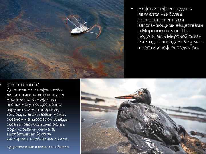  Чем это опасно? Достаточно 1 л нефти чтобы лишить кислорода 400 тыс. л