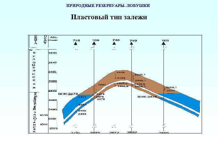 ПРИРОДНЫЕ РЕЗЕРВУАРЫ. ЛОВУШКИ Пластовый тип залежи 