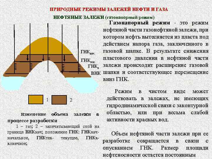 ПРИРОДНЫЕ РЕЖИМЫ ЗАЛЕЖЕЙ НЕФТИ И ГАЗА НЕФТЯНЫЕ ЗАЛЕЖИ (газонапорный режим) ГНКнач. ГНКтек. ГНКк ВНК