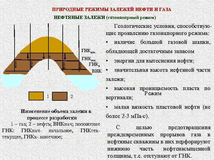 ПРИРОДНЫЕ РЕЖИМЫ ЗАЛЕЖЕЙ НЕФТИ И ГАЗА НЕФТЯНЫЕ ЗАЛЕЖИ (газонапорный режим) Геологические условия, способствующие проявлению