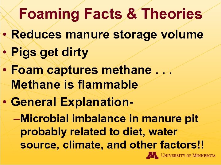 Foaming Facts & Theories • Reduces manure storage volume • Pigs get dirty •