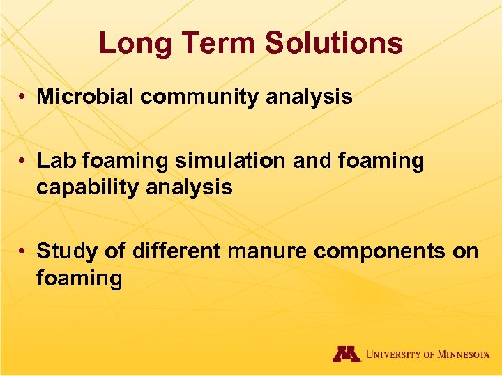 Long Term Solutions • Microbial community analysis • Lab foaming simulation and foaming capability