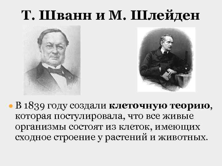 Т. Шванн и М. Шлейден ● В 1839 году создали клеточную теорию, которая постулировала,