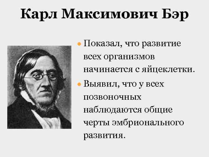 Карл Максимович Бэр ● Показал, что развитие всех организмов начинается с яйцеклетки. ● Выявил,