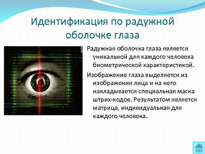 Идентификация по радужной оболочке глаза Радужная оболочка глаза является уникальной для каждого человека биометрической
